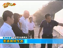 �I���������B