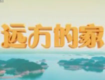 �h���ļ�:�����ڽ��