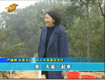 ��ֲ�ȵȵ��е����B���x��ֲ��